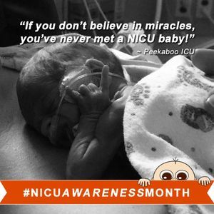 Meet your Posher, Teia